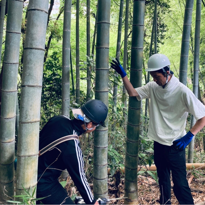 竹灯籠